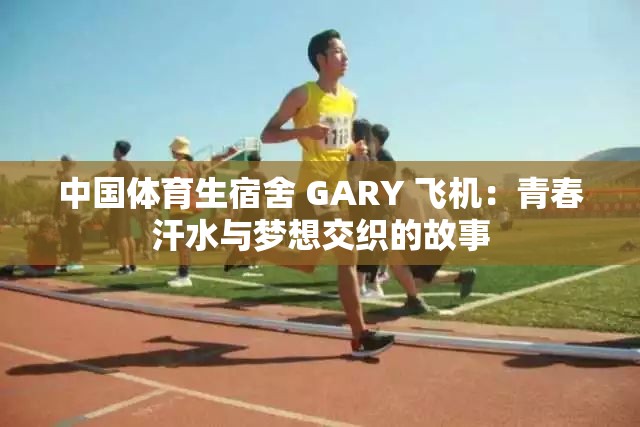 中国体育生宿舍 GARY 飞机：青春汗水与梦想交织的故事