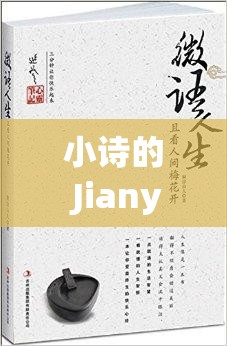 小诗的 Jianying 日记小说：一段触动心灵的文字之旅