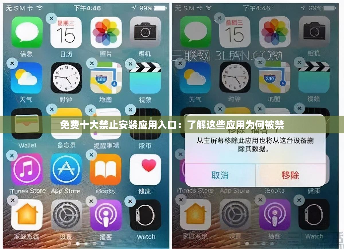 免费十大禁止安装应用入口：了解这些应用为何被禁