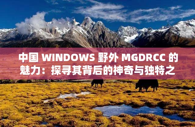 中国 WINDOWS 野外 MGDRCC 的魅力：探寻其背后的神奇与独特之处
