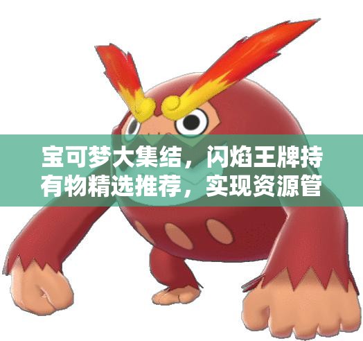宝可梦大集结，闪焰王牌持有物精选推荐，实现资源管理高效利用与价值最大化