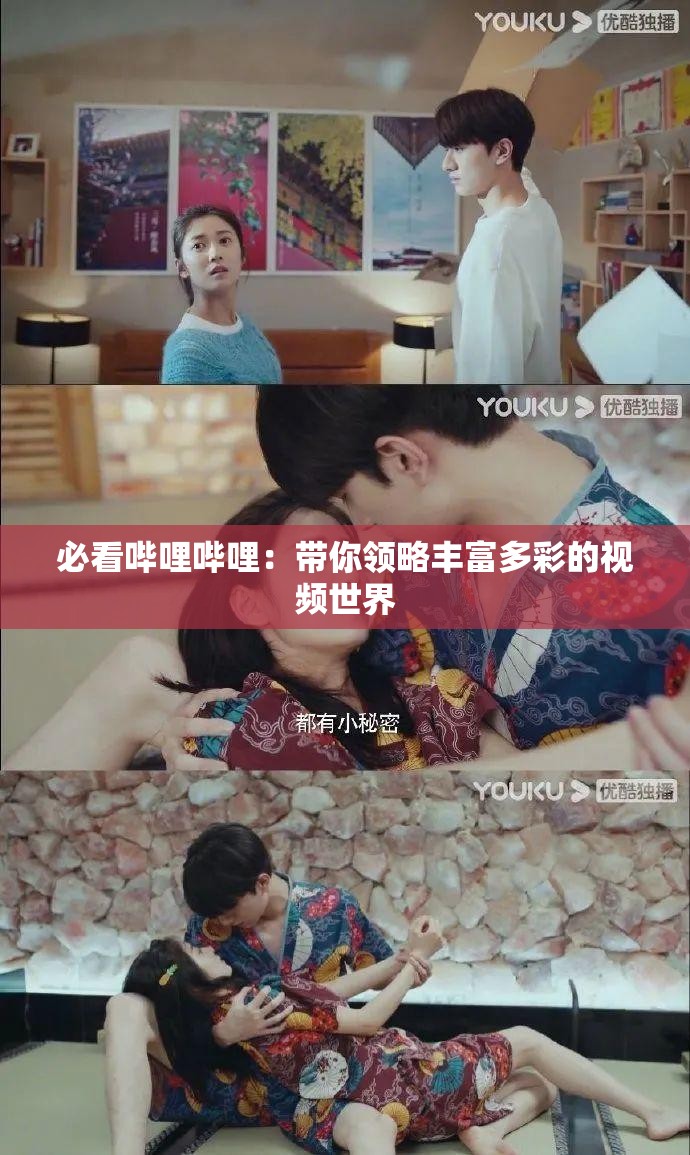 必看哔哩哔哩：带你领略丰富多彩的视频世界