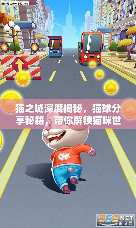 猫之城深度揭秘，猫球分享秘籍，带你解锁猫咪世界的无尽奇妙之旅