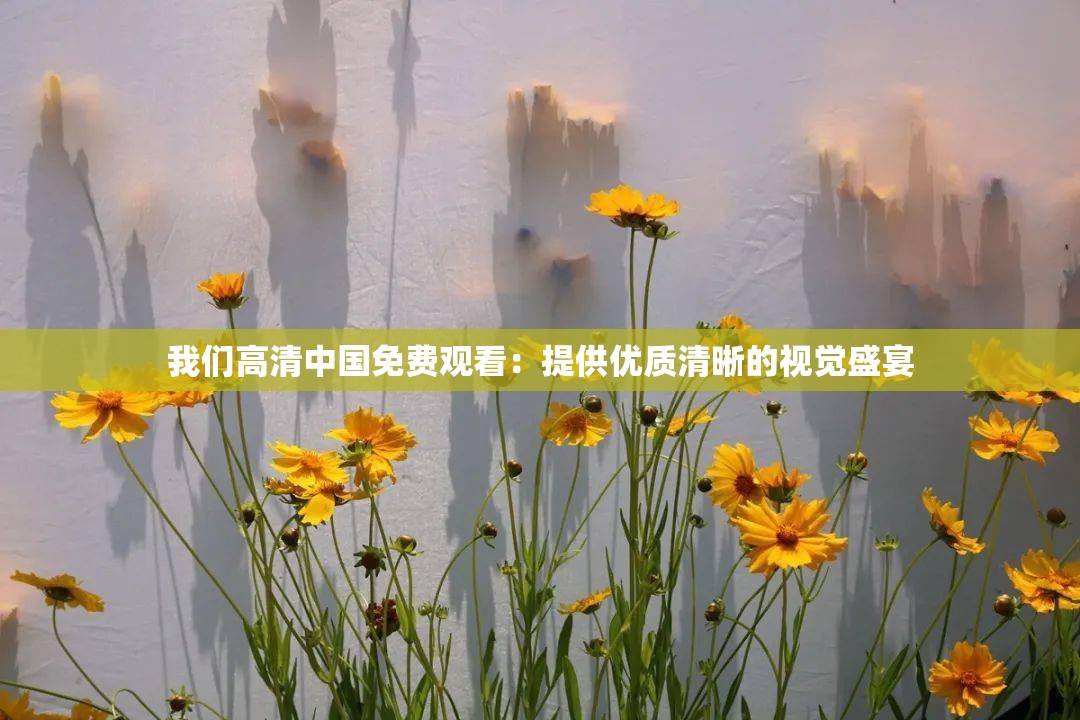 我们高清中国免费观看：提供优质清晰的视觉盛宴
