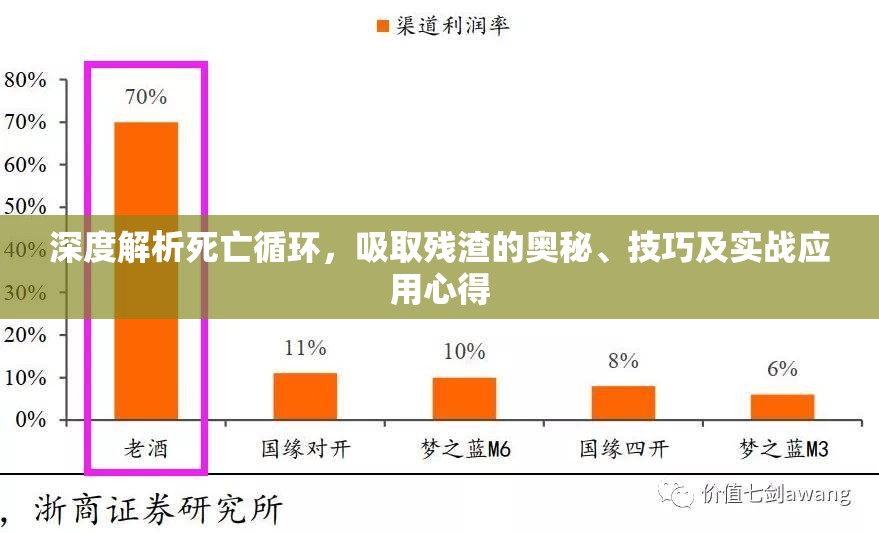 深度解析死亡循环，吸取残渣的奥秘、技巧及实战应用心得