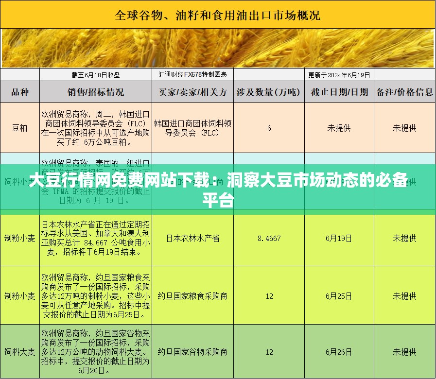 大豆行情网免费网站下载：洞察大豆市场动态的必备平台
