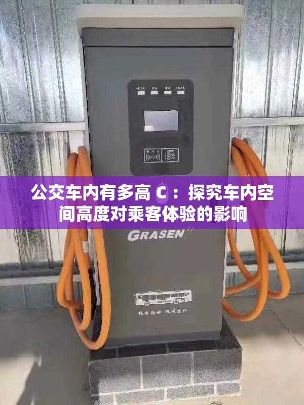 公交车内有多高 C ：探究车内空间高度对乘客体验的影响
