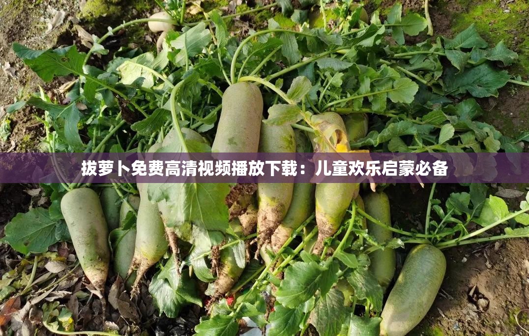 拔萝卜免费高清视频播放下载：儿童欢乐启蒙必备
