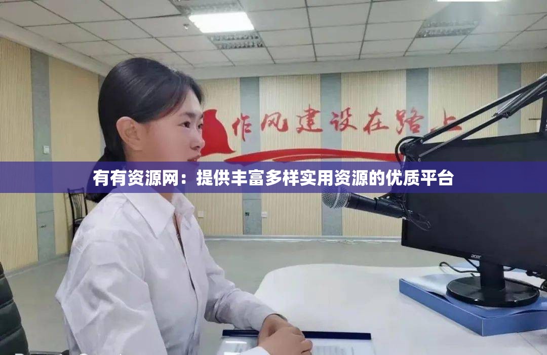 有有资源网：提供丰富多样实用资源的优质平台