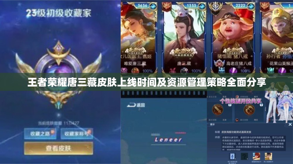 王者荣耀唐三藏皮肤上线时间及资源管理策略全面分享