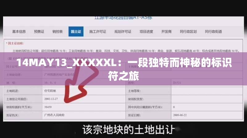 14MAY13_XXXXXL：一段独特而神秘的标识符之旅