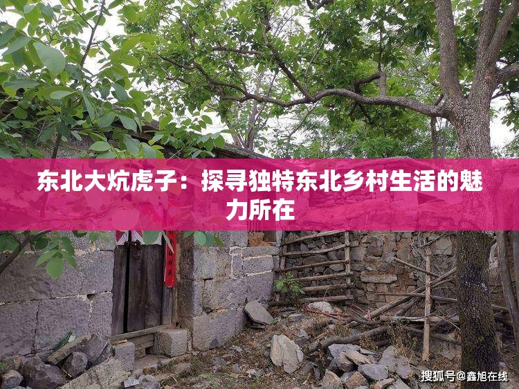 东北大炕虎子：探寻独特东北乡村生活的魅力所在