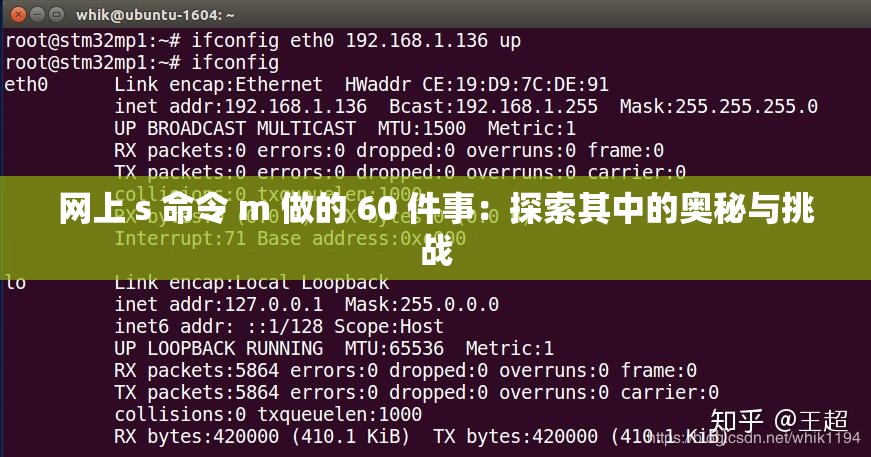网上 s 命令 m 做的 60 件事：探索其中的奥秘与挑战