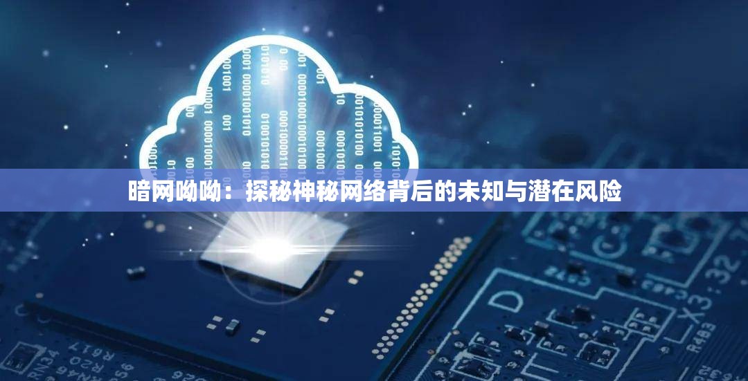 暗网呦呦：探秘神秘网络背后的未知与潜在风险