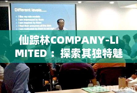 仙踪林COMPANY-LIMITED ：探索其独特魅力与发展历程
