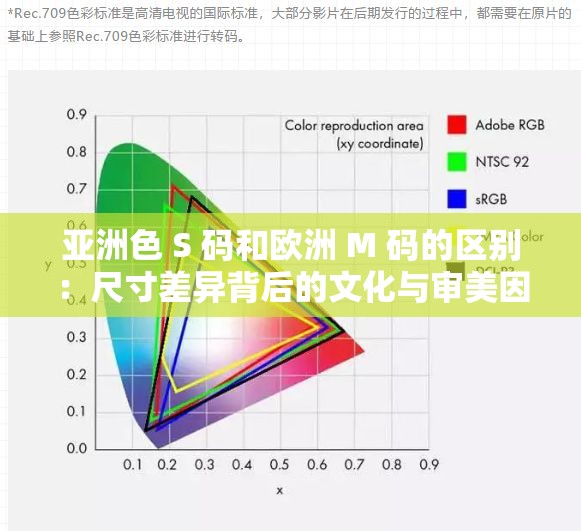 亚洲色 S 码和欧洲 M 码的区别：尺寸差异背后的文化与审美因素