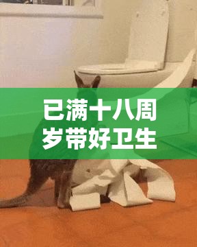 已满十八周岁带好卫生纸：步入成年需随时做好准备