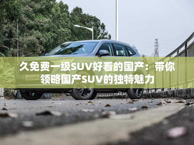 久免费一级SUV好看的国产：带你领略国产SUV的独特魅力