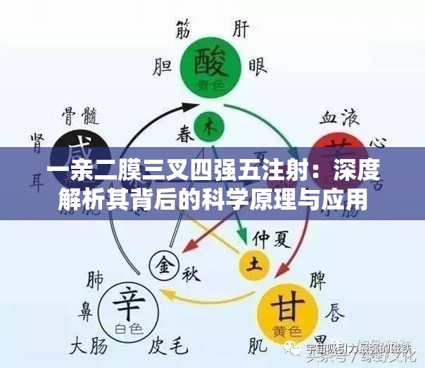 一亲二膜三叉四强五注射：深度解析其背后的科学原理与应用