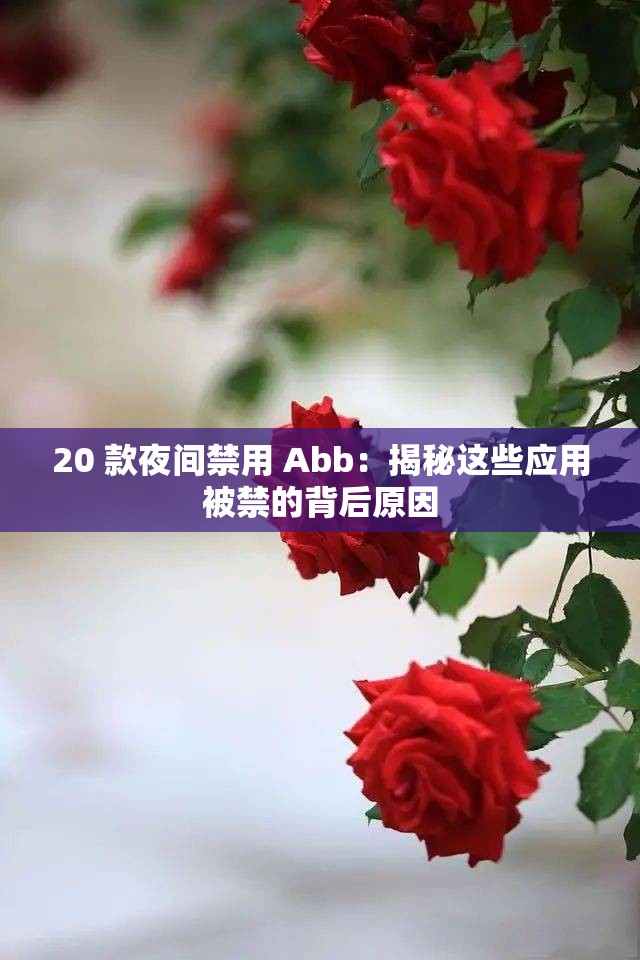 20 款夜间禁用 Abb：揭秘这些应用被禁的背后原因