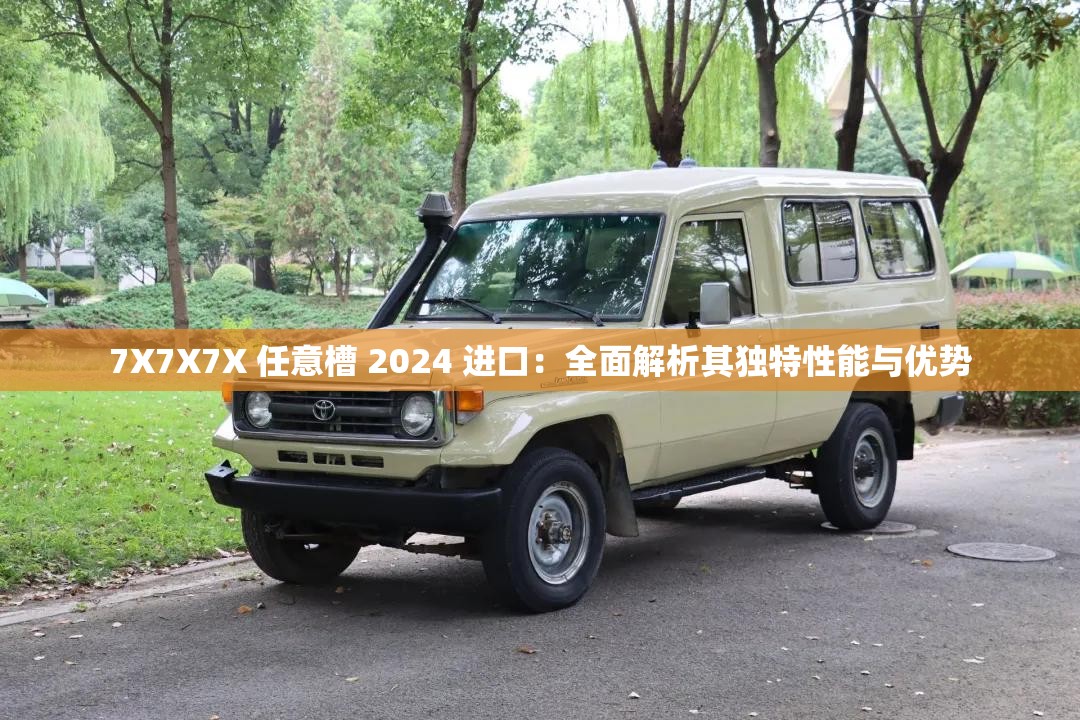 7X7X7X 任意槽 2024 进口：全面解析其独特性能与优势