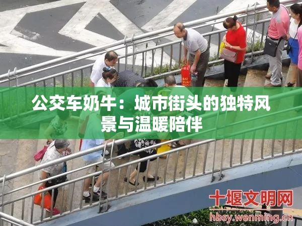 公交车奶牛：城市街头的独特风景与温暖陪伴