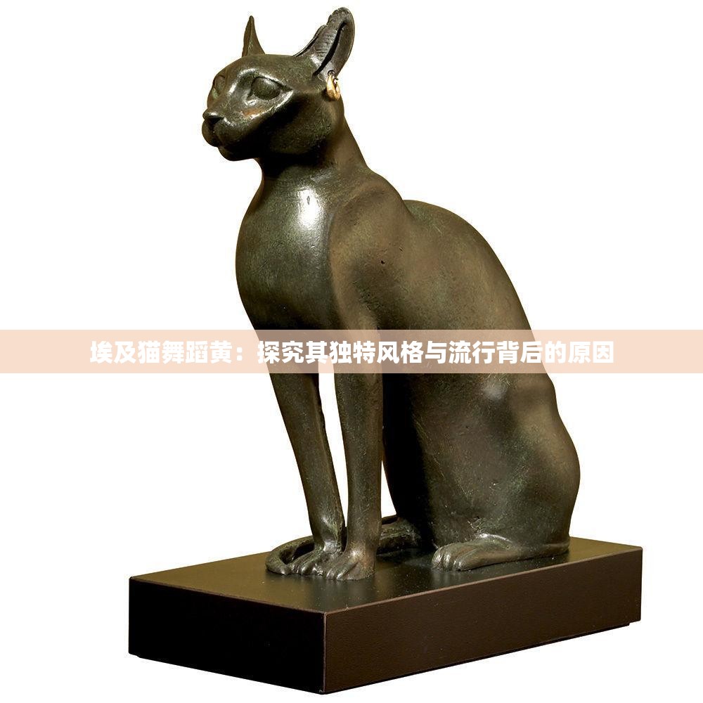 埃及猫舞蹈黄：探究其独特风格与流行背后的原因