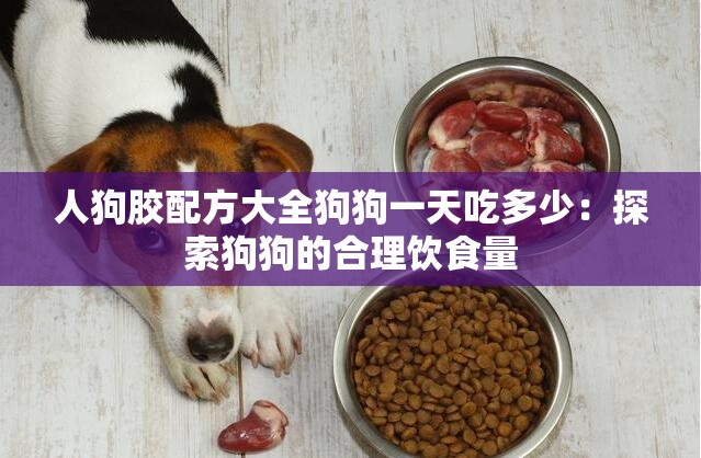 人狗胶配方大全狗狗一天吃多少：探索狗狗的合理饮食量
