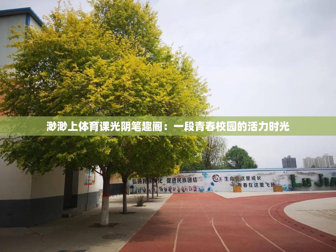 渺渺上体育课光阴笔趣阁：一段青春校园的活力时光