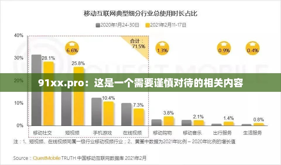 91xx.pro：这是一个需要谨慎对待的相关内容