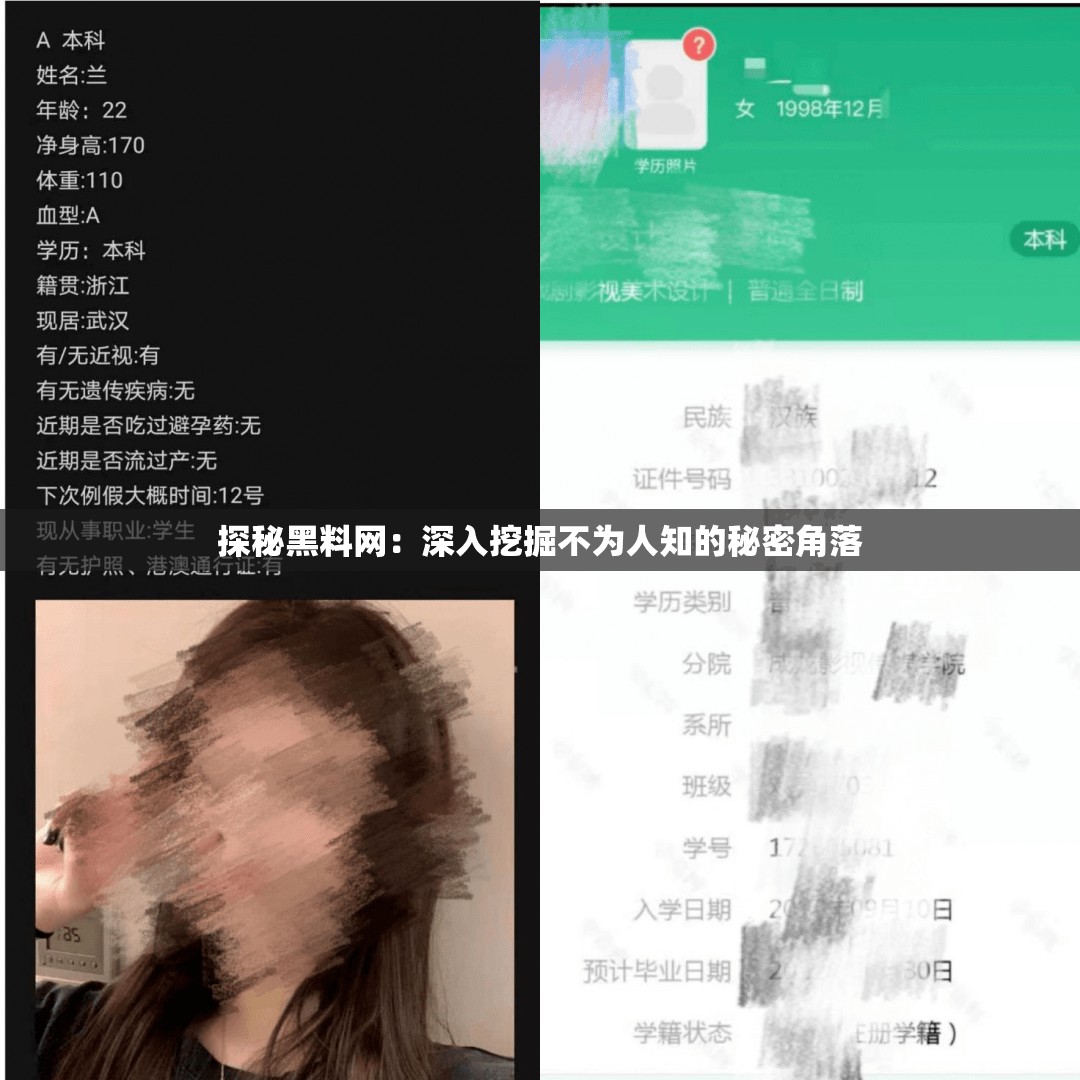 探秘黑料网：深入挖掘不为人知的秘密角落