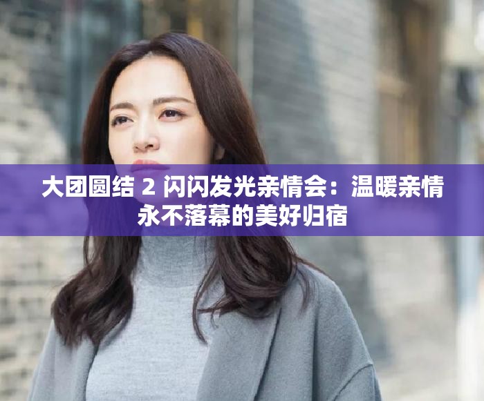 大团圆结 2 闪闪发光亲情会：温暖亲情永不落幕的美好归宿