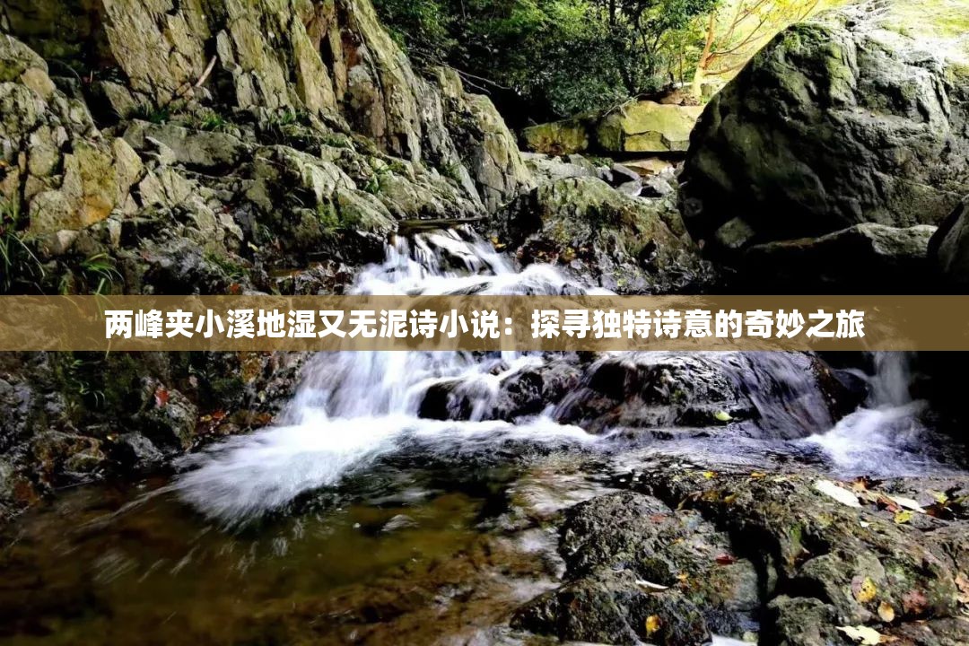两峰夹小溪地湿又无泥诗小说：探寻独特诗意的奇妙之旅