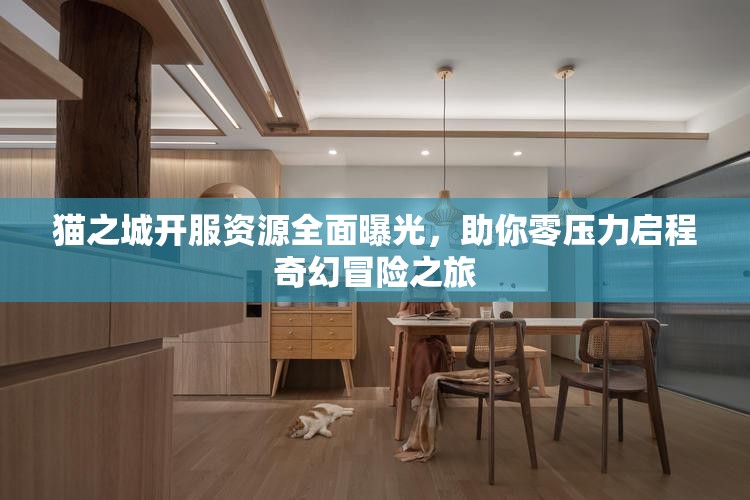 猫之城开服资源全面曝光，助你零压力启程奇幻冒险之旅