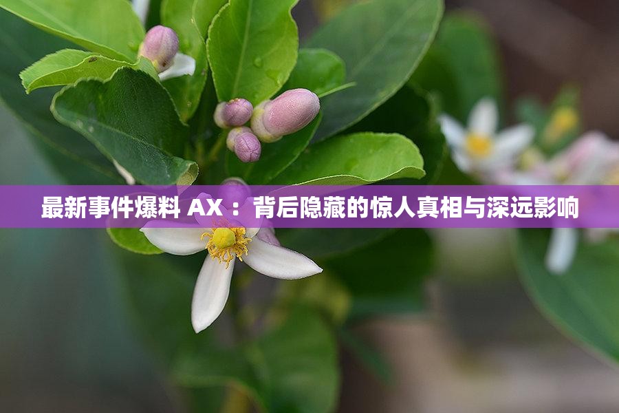 最新事件爆料 AX ：背后隐藏的惊人真相与深远影响