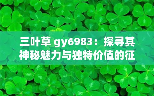 三叶草 gy6983：探寻其神秘魅力与独特价值的征程