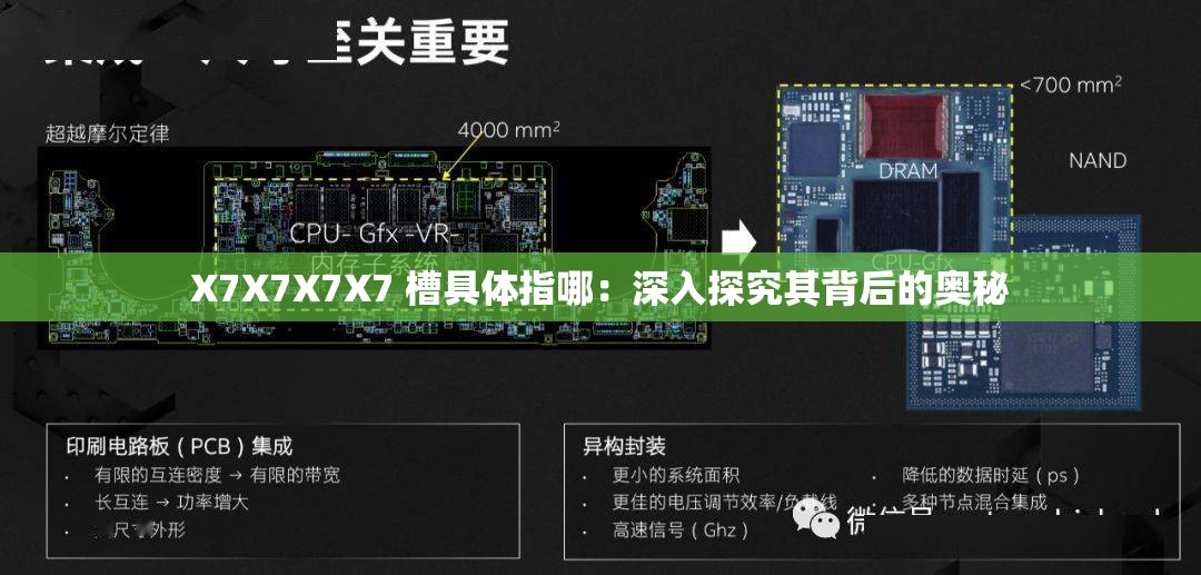 X7X7X7X7 槽具体指哪：深入探究其背后的奥秘