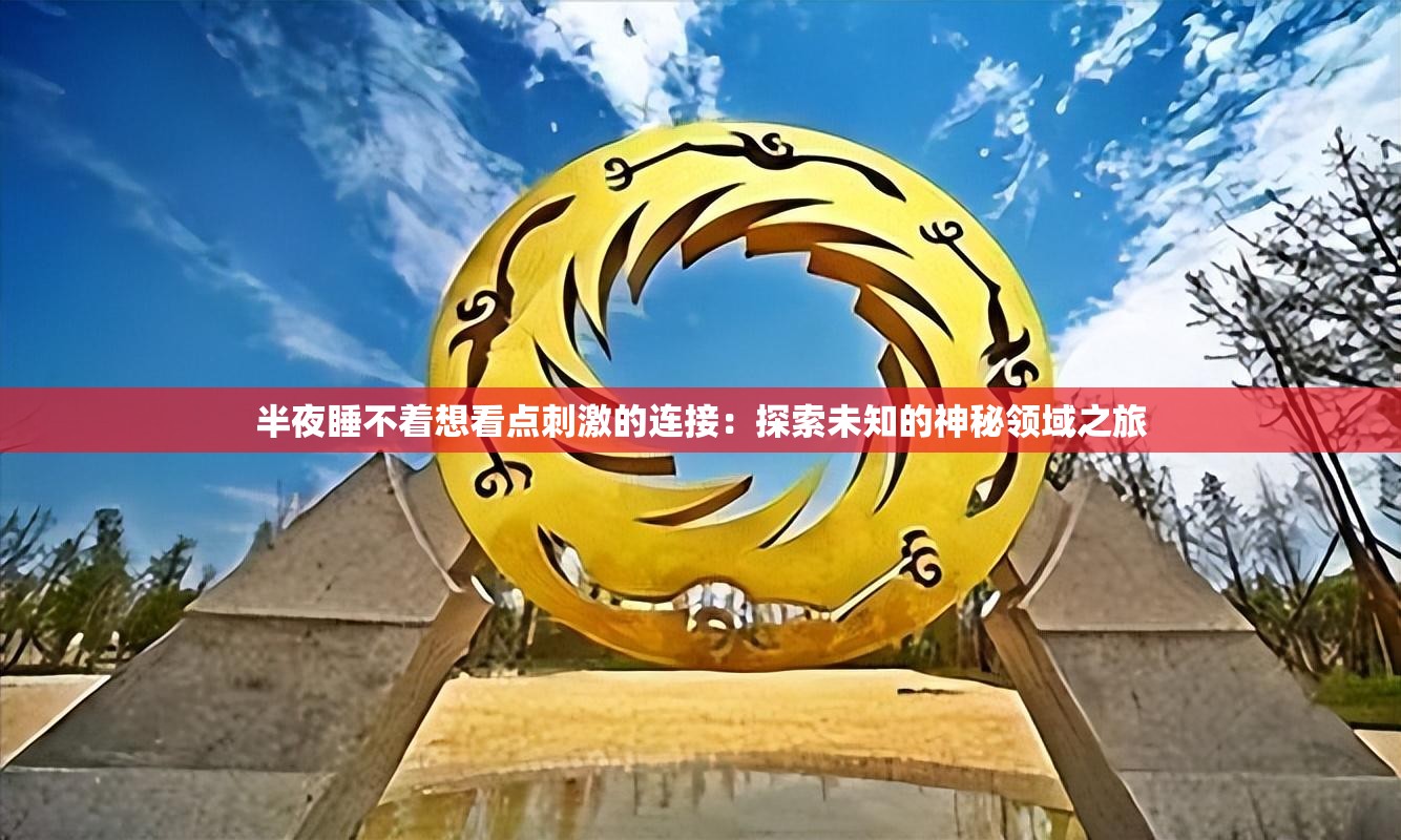 半夜睡不着想看点刺激的连接：探索未知的神秘领域之旅