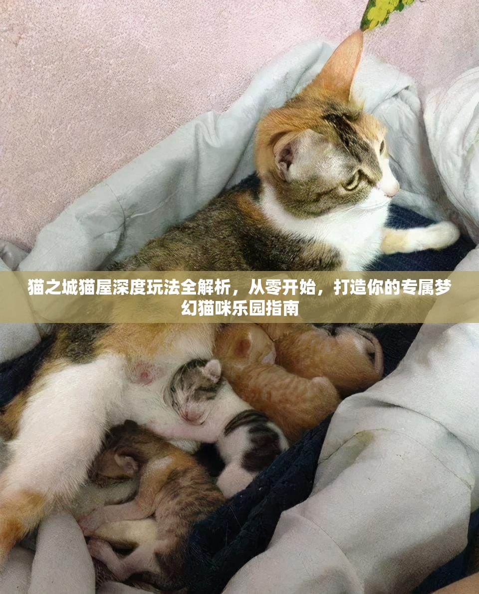 猫之城猫屋深度玩法全解析，从零开始，打造你的专属梦幻猫咪乐园指南