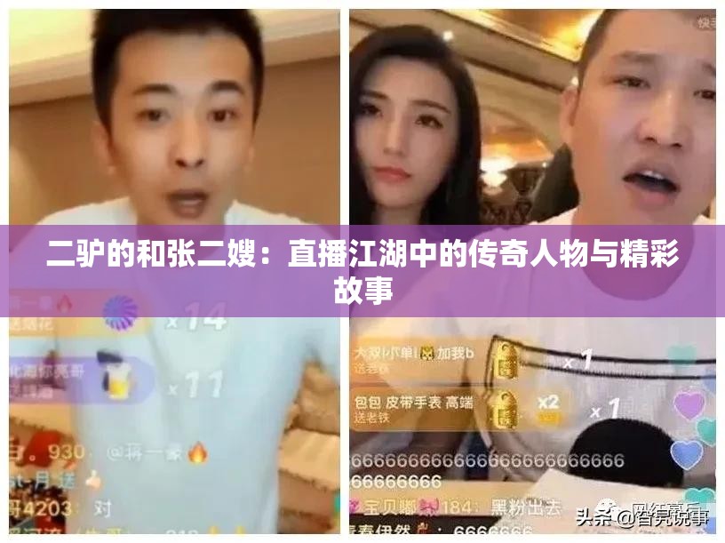 二驴的和张二嫂：直播江湖中的传奇人物与精彩故事