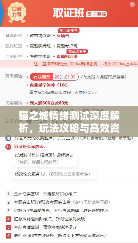 猫之城情绪测试深度解析，玩法攻略与高效资源管理技巧