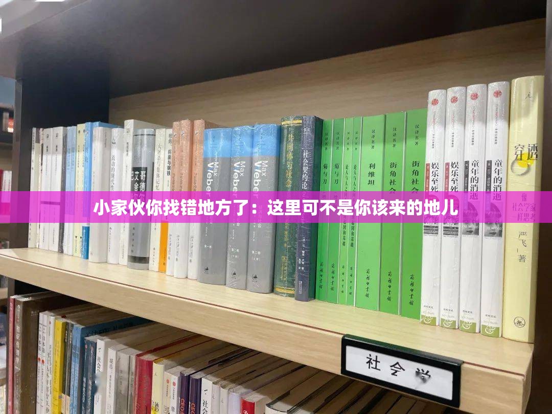 小家伙你找错地方了：这里可不是你该来的地儿
