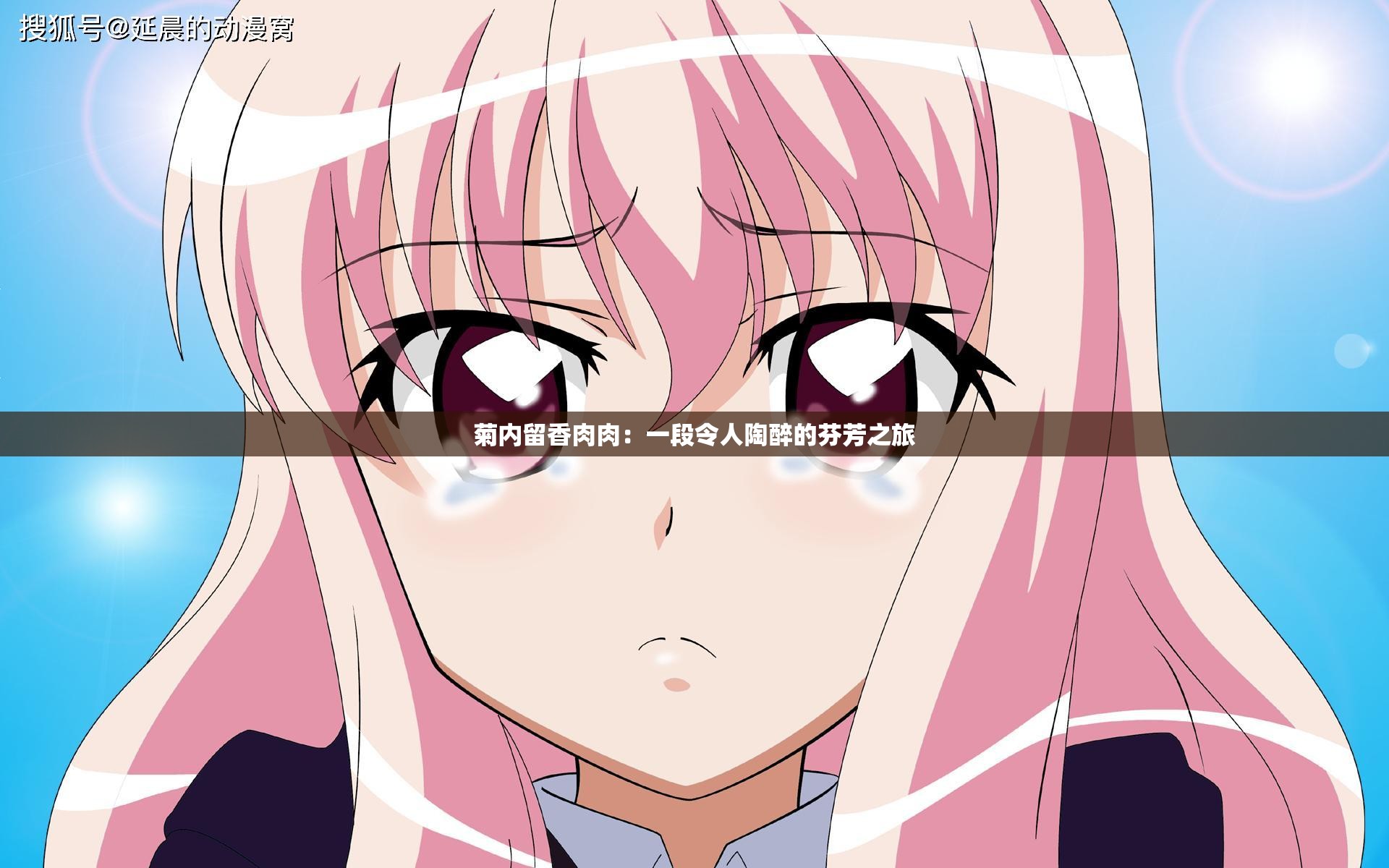 菊内留香肉肉：一段令人陶醉的芬芳之旅