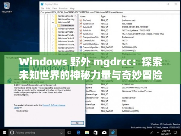 Windows 野外 mgdrcc：探索未知世界的神秘力量与奇妙冒险