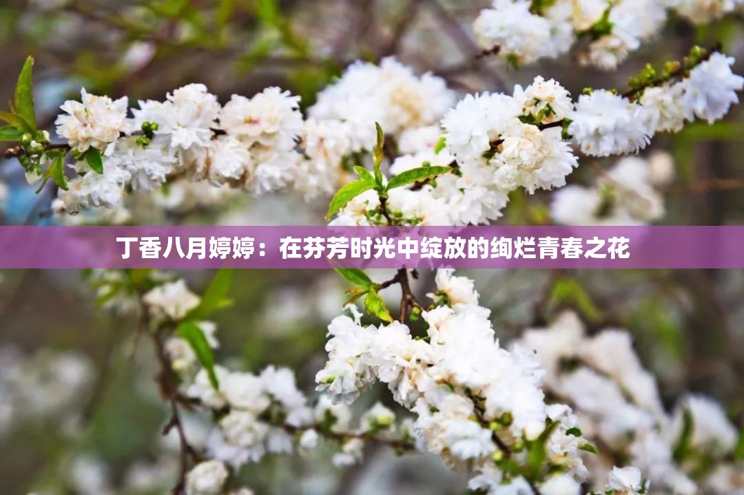 丁香八月婷婷：在芬芳时光中绽放的绚烂青春之花