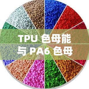 TPU 色母能与 PA6 色母通用吗：深入探讨与解析