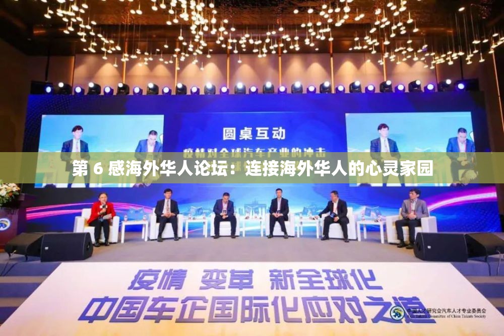 第 6 感海外华人论坛：连接海外华人的心灵家园