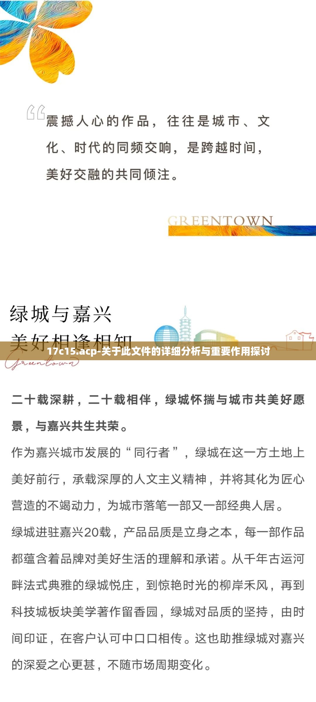 17c15.acp-关于此文件的详细分析与重要作用探讨