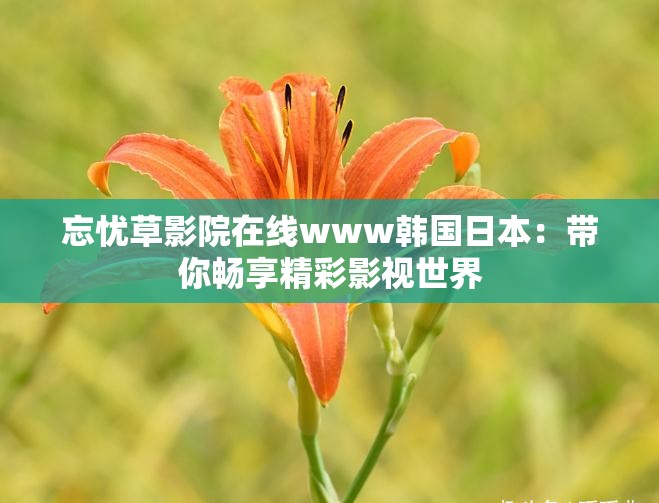 忘忧草影院在线www韩国日本：带你畅享精彩影视世界
