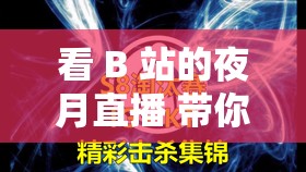 看 B 站的夜月直播 带你领略精彩的直播世界